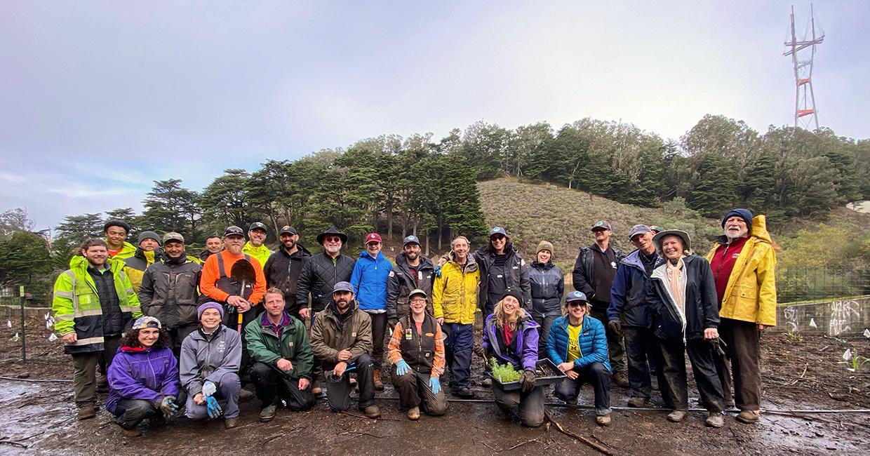 Volunteers Help Restore Native Species at Laguna Honda Reservoir