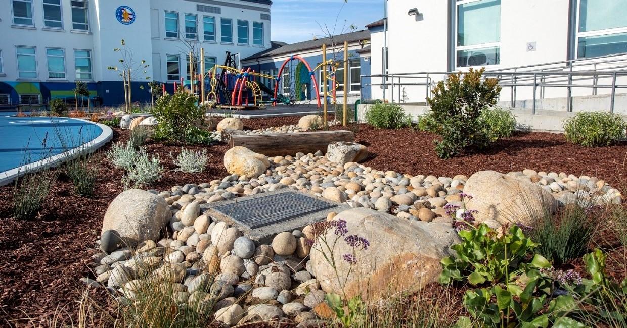 Rain Garden at Lafayette 