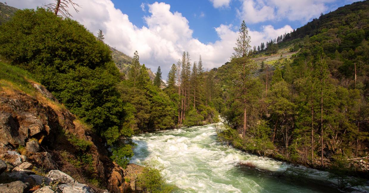 Agencies to Advance Historic Tuolumne River Salmon Habitat Restoration Program with Leading California Non-Profit