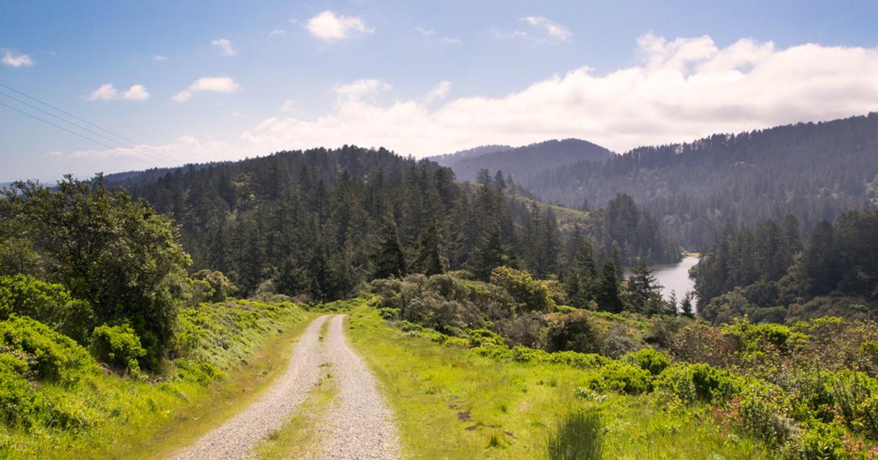 SFPUC Celebrates 20th Anniversary of the Fifield-Cahill Ridge Trail