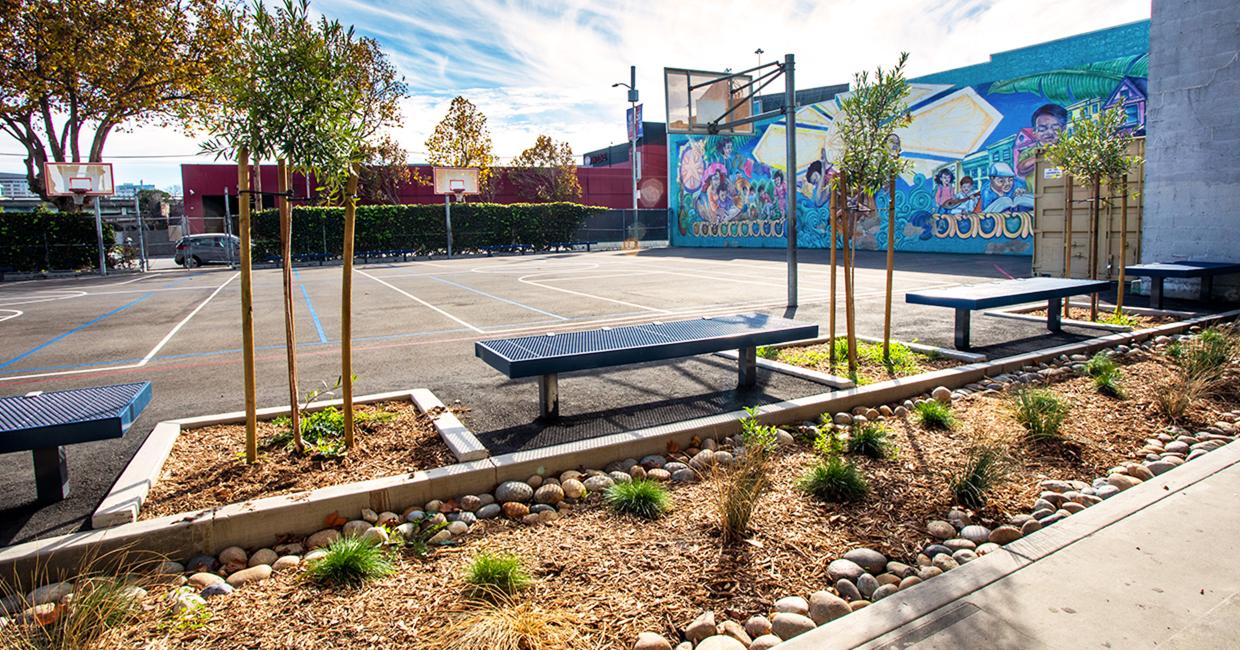 Dry Creek Bed at Lafayette Elementary School