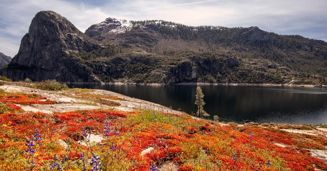 Calaveras Reservoir, East Bay (April 2024)