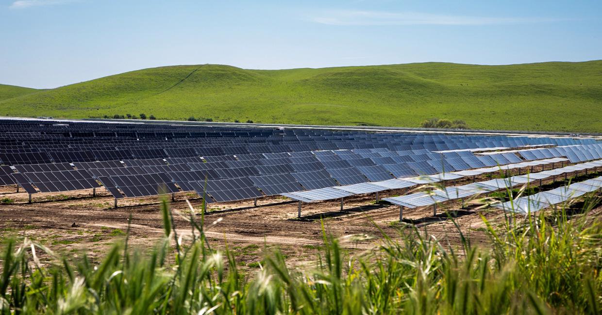 Photo of solar panels at the Paulsell Solar Energy Center in Stanislaus County.