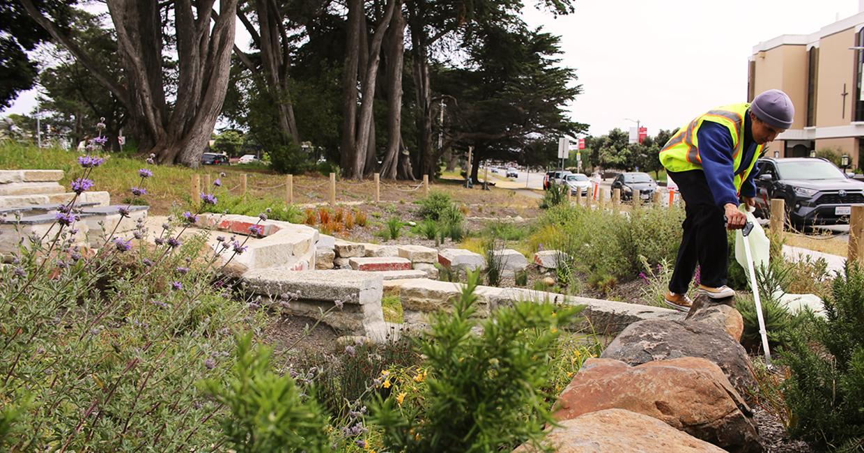 Person standing in a rain garden.