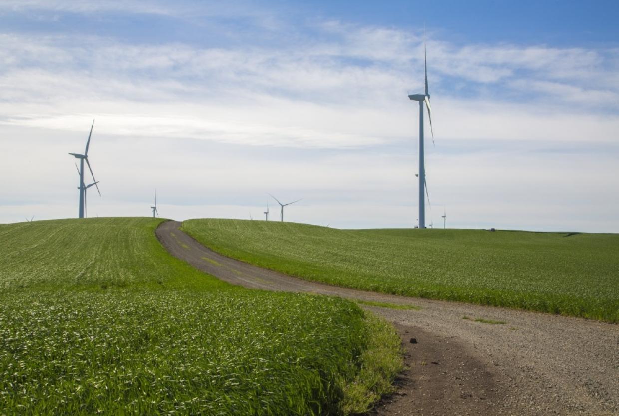 wind turbines in Solano