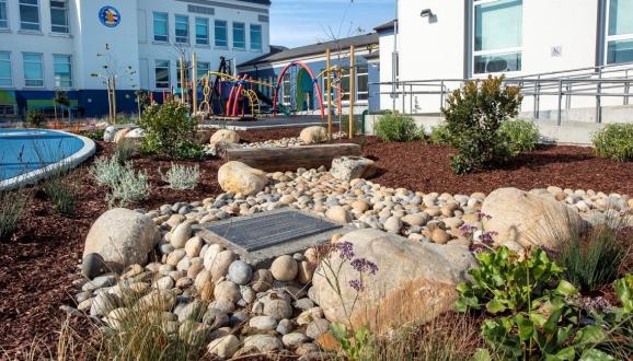 Rain Garden at Lafayette 