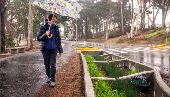 Woman walks holding an umbrella next to a rain garden