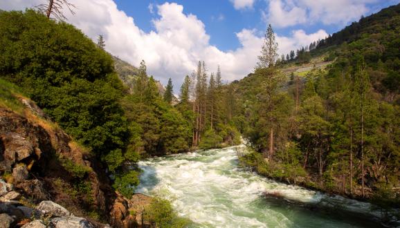 Agencies to Advance Historic Tuolumne River Salmon Habitat Restoration Program with Leading California Non-Profit