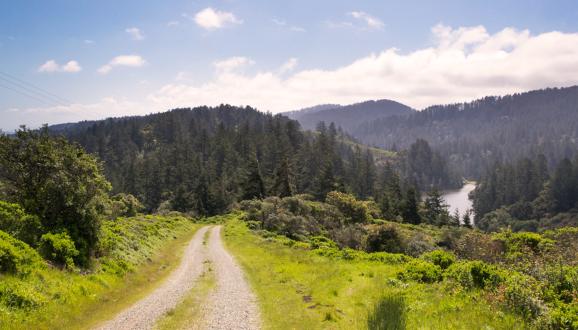 SFPUC Celebrates 20th Anniversary of the Fifield-Cahill Ridge Trail