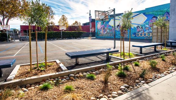 Dry Creek Bed at Lafayette Elementary School