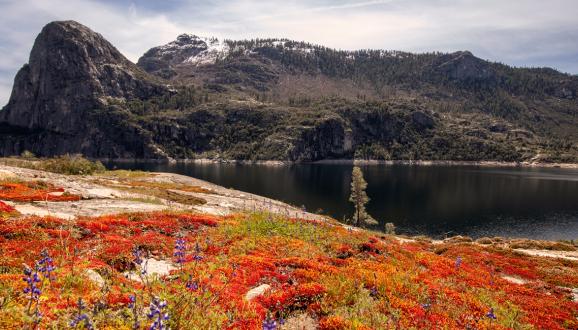 Calaveras Reservoir, East Bay (April 2024)