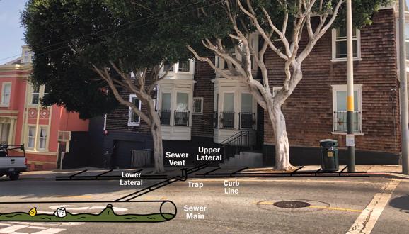 sewer lateral diagram