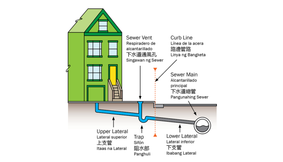 Sewer lateral diagram