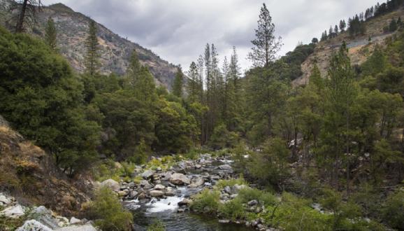 section of the Tuolumne River