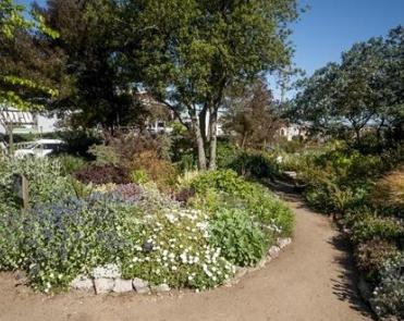 Pathway inside the learning garden 