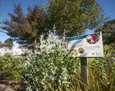 Cartel que enumera los tipos de plantas en el jardín.